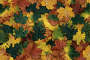 leaves-75.bmp
