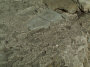 stone concrete floor.jpg