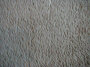 carpet22.jpg