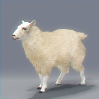 sheep polys wool 3d max - Rigged Sheep by NONECG
