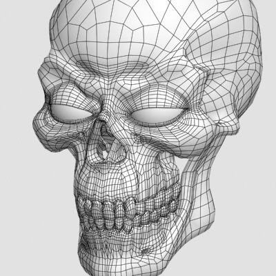 3d skull jaw teeths model - Skull 1 by shiva3d