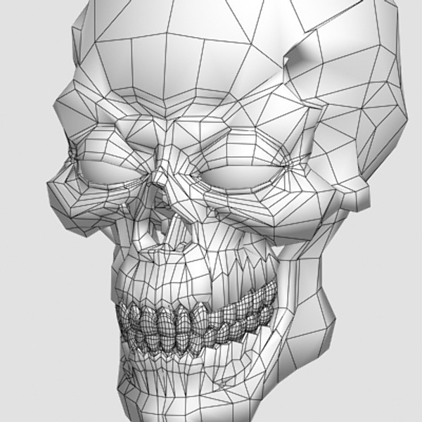 3d skull jaw teeths model - Skull 1 by shiva3d