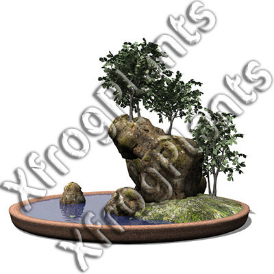 3d model bonsai trees dvd plants - XfrogPlants Bonsai DVD by xfrog