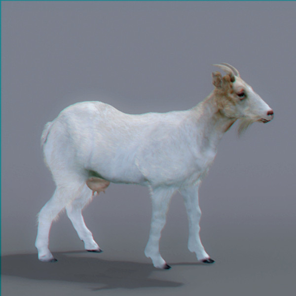 3ds max goat polys - Rigged Goat... by NONECG