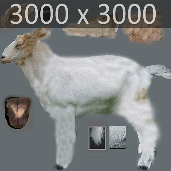 3ds max goat polys - Rigged Goat... by NONECG