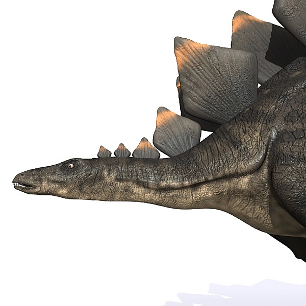 3d stegosaurus dinosaur animation - Stegosaurus Animated by 3depix