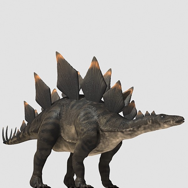 3d stegosaurus dinosaur animation - Stegosaurus Animated by 3depix