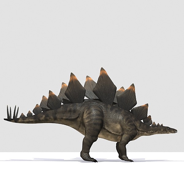 3d stegosaurus dinosaur animation - Stegosaurus Animated by 3depix