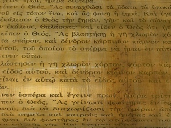 papyrus scroll 3d model - Ancient Papyrus Scroll... by Whong