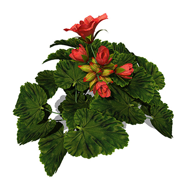 3dsmax xfrogplants geranium plant - XfrogPlants Geranium by xfrog