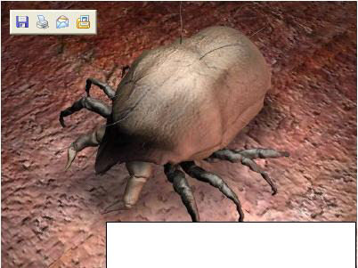 3d model mite monster para - Dust Mite by Digital Prophecy