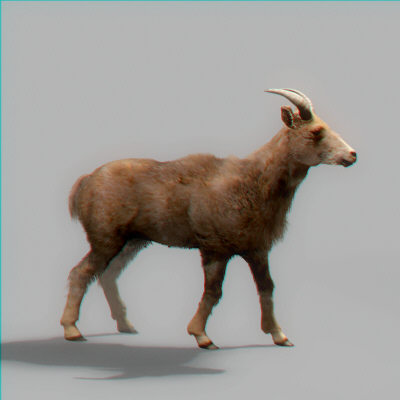 max mountain goat - Rigged Mountain Goat by NONECG