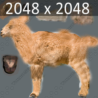 max mountain goat - Rigged Mountain Goat by NONECG