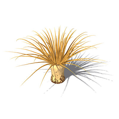 xfrogplants tube anemone animal 3d 3ds - XfrogPlants Tube Anemone by xfrog