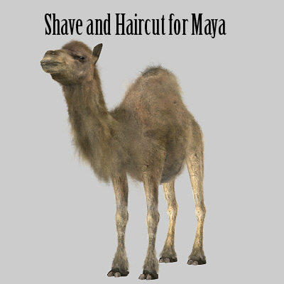 camel 3d max - Camel by 3d_Wanderer