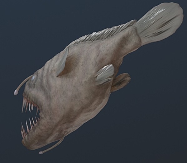 3d angler fish model - Angler Fish by luki82