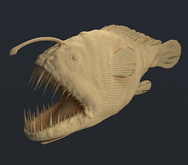 3d angler fish model - Angler Fish by luki82
