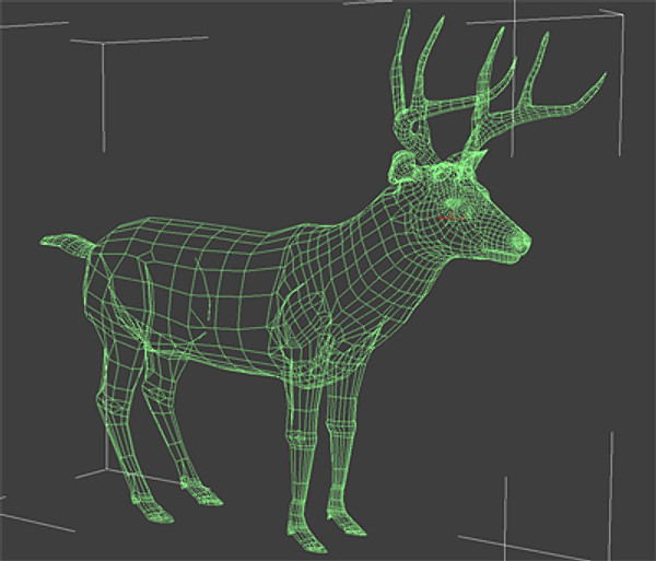 whitetail deer 3d model - White-tailed deer by gauthier12