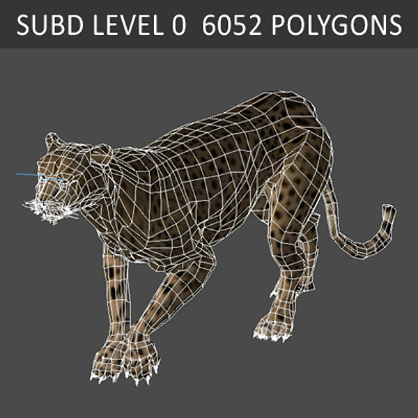 3d cheetah fur - Animated Cheetah by NONECG