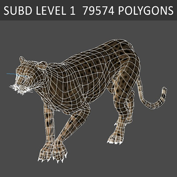 3d cheetah fur - Animated Cheetah by NONECG