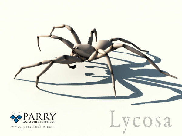 Spider with procedural walking rig