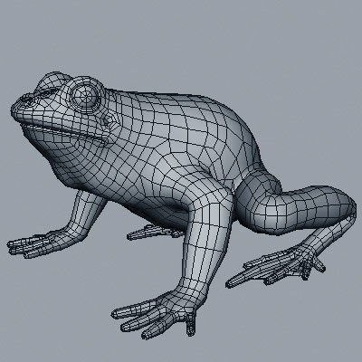 3d frog skeleton - Frog Skeleton by 3d_Wanderer