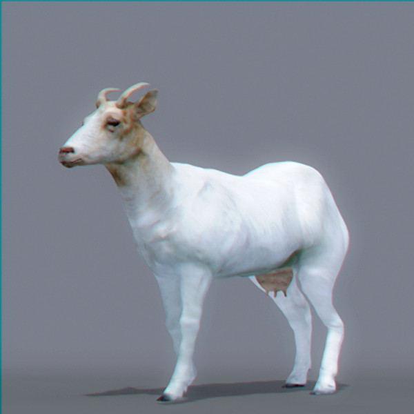 goat polys 3d model - Goat... by NONECG