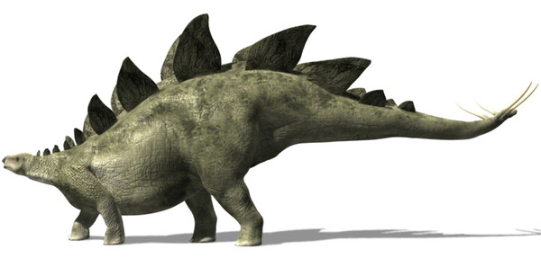 jurassic stegosaur dinosaurs estego 3d model - Amazing stegosaur by Virtual creator