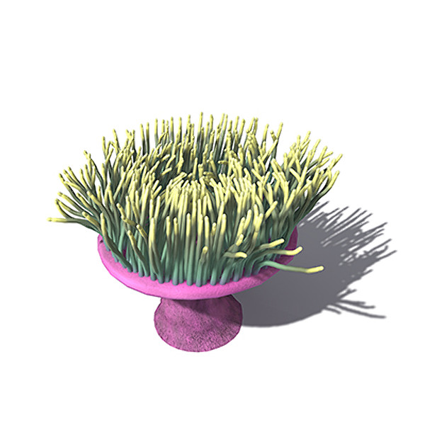 xfrogplants magnificent anemone animal 3d max - XfrogPlants Magnificent Anemone by xfrog