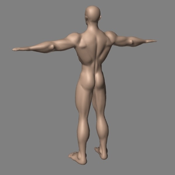 muscular male hero superhero 3d model - tw_hero_mp.lwo by tomwoof