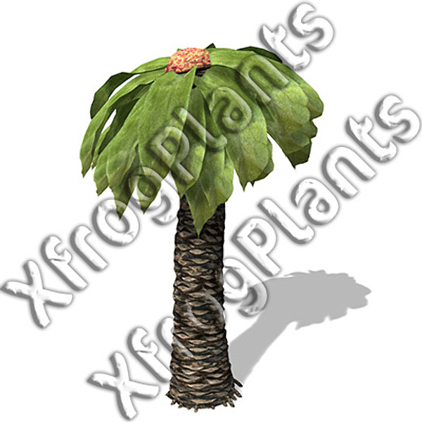 3ds max prehistoric trees plants dvd - XfrogPlants Prehistoric DVD by xfrog