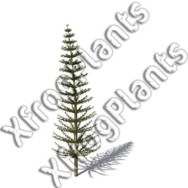3ds max prehistoric trees plants dvd - XfrogPlants Prehistoric DVD by xfrog