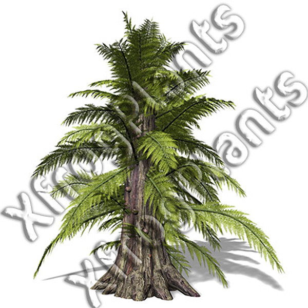 3ds max prehistoric trees plants dvd - XfrogPlants Prehistoric DVD by xfrog