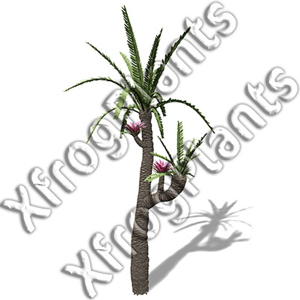 3ds max prehistoric trees plants dvd - XfrogPlants Prehistoric DVD by xfrog