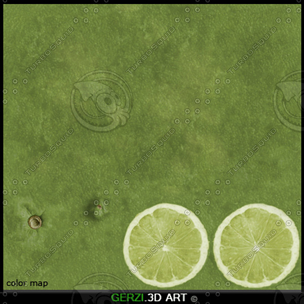 max lime fruit lemons - Lime by Gerzi 3D ART