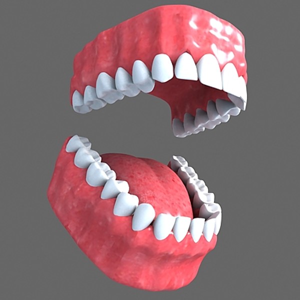 Teeth 3D.zip