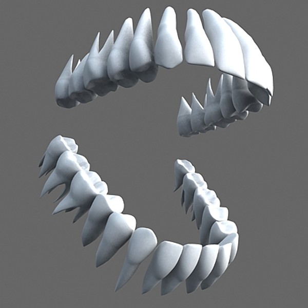 Teeth 3D.zip