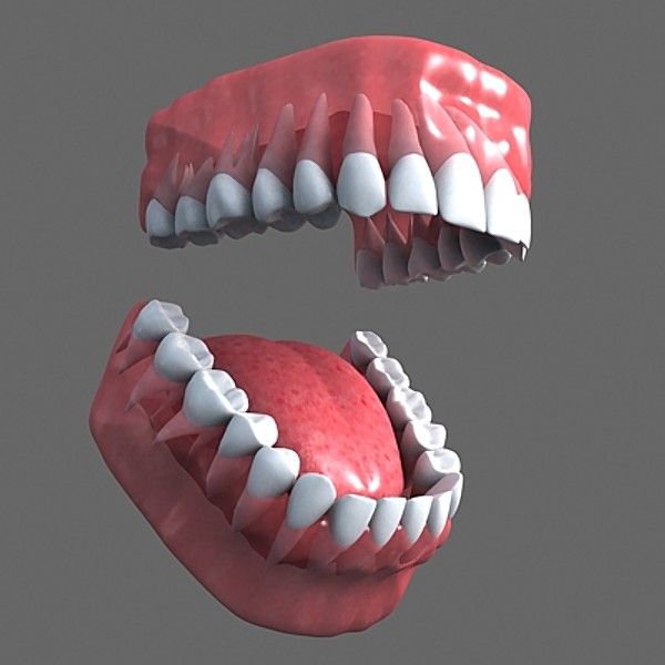Teeth 3D.zip