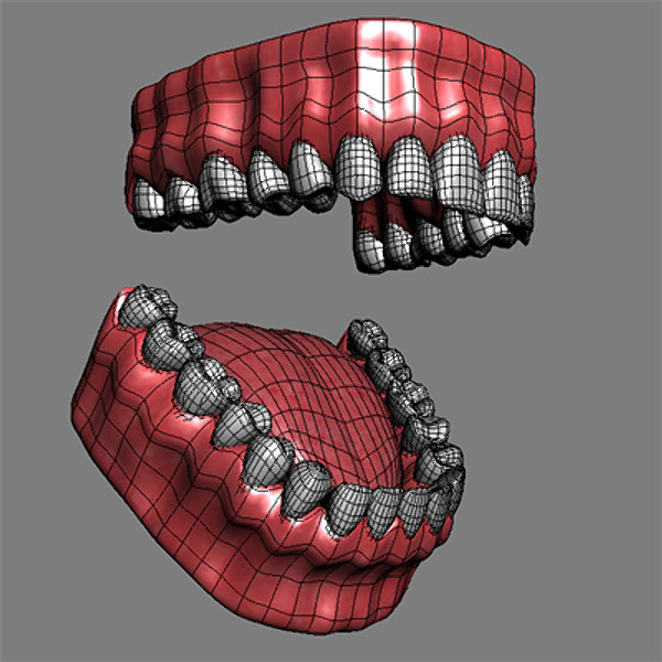 Teeth 3D.zip