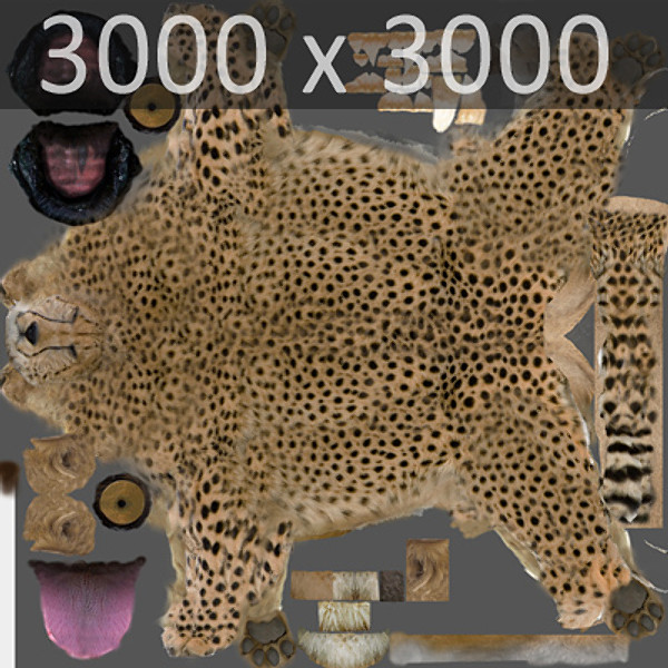 directx cheetah cat feline - Cheetah by NONECG