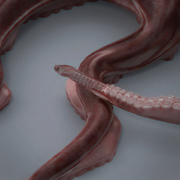 rigged octopus 3d model - Rigged Octopus... by NONECG