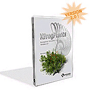 xfrogplants galeobdolon luteum plant 3d 3ds - XfrogPlants Galeobdolon luteum by xfrog