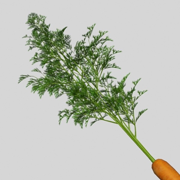 3d model of carrot vegetable - Carrot by CutCat