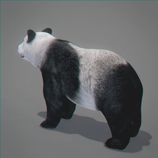 3d model panda bear - Panda Bear by NONECG