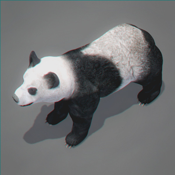 3d model panda bear - Panda Bear by NONECG