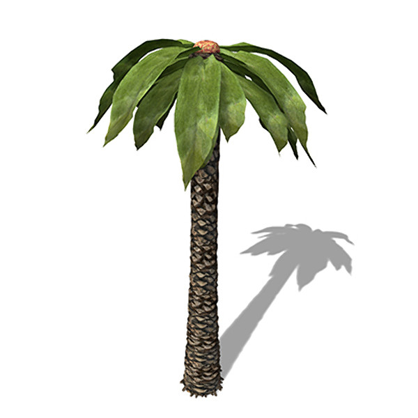 3d model xfrogplants bjuvia plants - XfrogPlants Bjuvia by xfrog