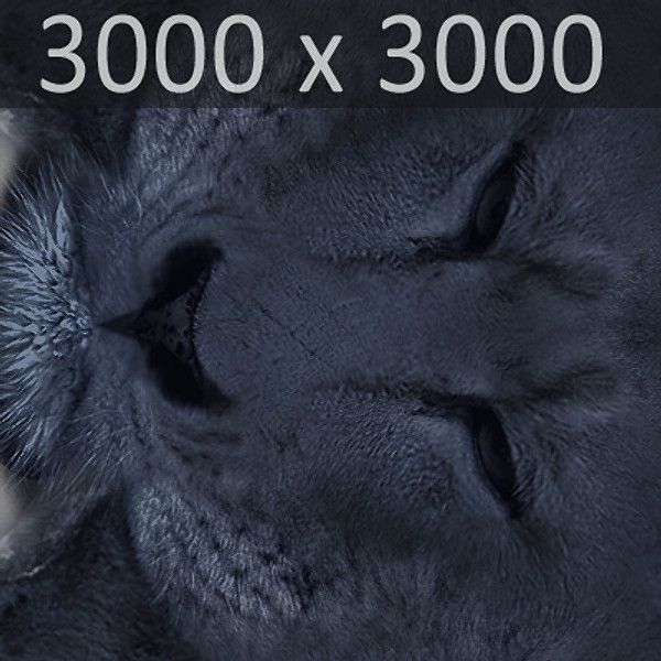 panther pantera tiger cat 3d model - Panther... by NONECG