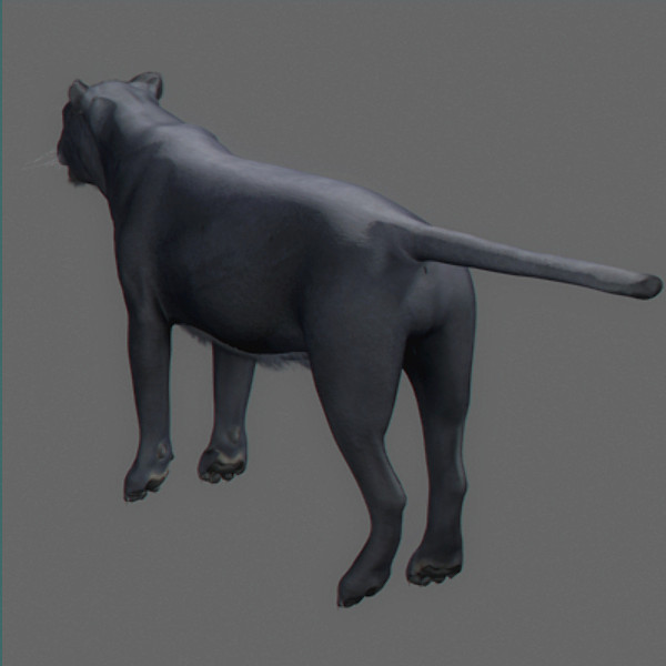 panther pantera tiger cat 3d model - Panther... by NONECG
