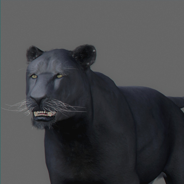 panther pantera tiger cat 3d model - Panther... by NONECG