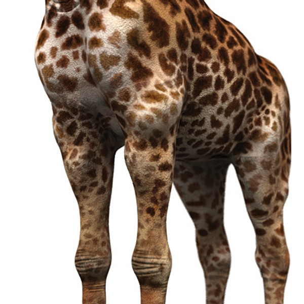 giraffe max - giraffe_max.zip... by David Penfound